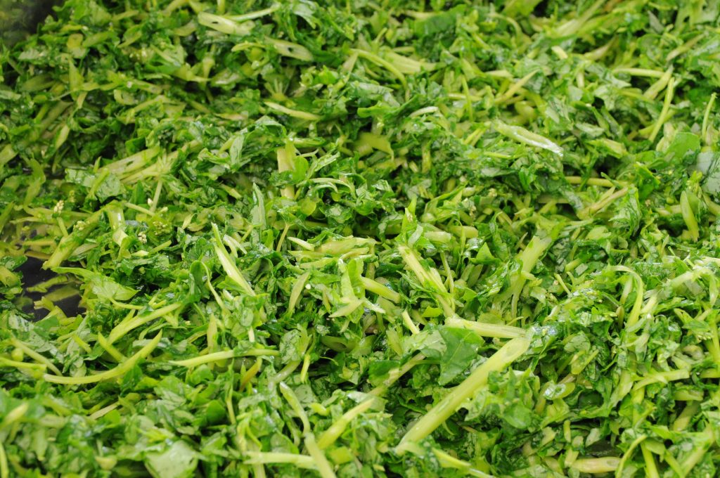 青汁は食物繊維たっぷり！