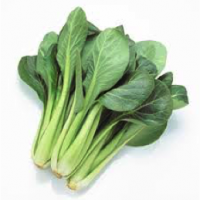 お腹の調子が気になる方におすすめ【食物繊維】