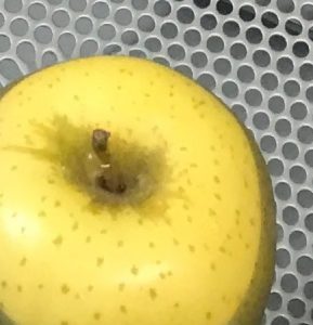 林檎の皮は貴重です。