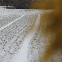 寒い一日です。