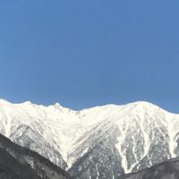 青汁の驚くべき効果とは？