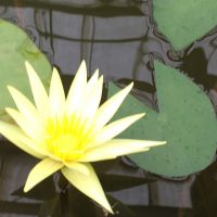 2016年の出来事　3.創業補助金