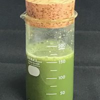 シェーカーを探せ！ビーカー　実験気分を味わいたい方向け