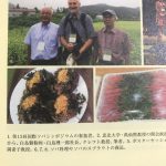 「そばうどん」より