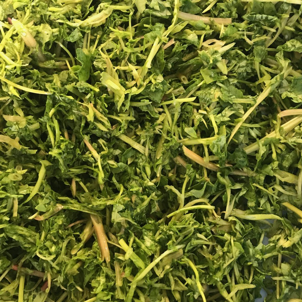 青汁の原料にします。