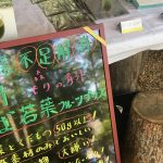 青汁そば若葉フルーツプラスの試飲と販売