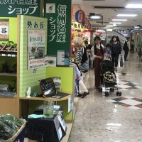 名古屋試飲会おかげさまで大好評