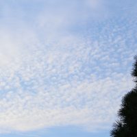 ひさびさのブログです。