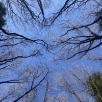 今日は良い天気です。