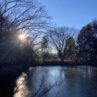 【新年のご挨拶】元旦の朝、近くの池で感じた静かな時間